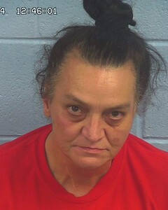 Mugshot of WHITAKER, TERESA  