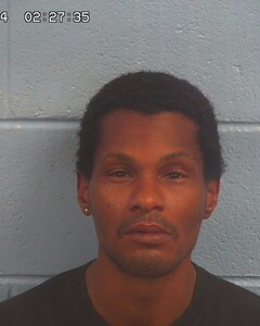 Mugshot of FIELDS, DARIOUS  