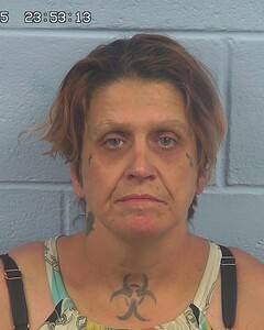 Mugshot of NELSONGREEN, JENNIFER